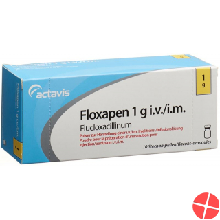 Floxapen Trockensubstanz 1g Durchstechflasche 10 Stück