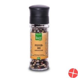 Brecht Pfeffer Mix Bio Mühle 40g