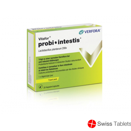 Vitafor probi-intestis Cape Travel Pack 20 pcs