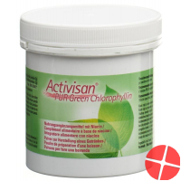 Activisan PUR Green chlorophyllin PLV supplementation with niacin Ds 90 g