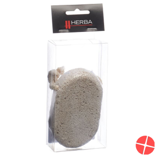 Herba pumice powder