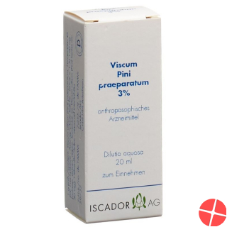 Iscador Viscum Pini Praeparatum 3% Dilutio aquosa 20 ml