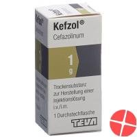 Kefzol Trockensubstanz 1g Durchstechflasche