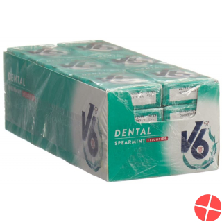 V6 Dental Care Gum Spearmint + 24 fluorides Box