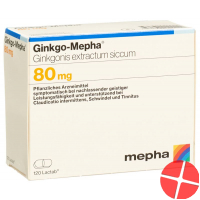 Ginkgo Mepha Lactab 80 mg 120 pcs