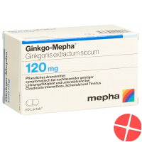 Ginkgo Mepha Lactab 120 mg of 60 pcs