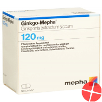 Ginkgo Mepha Lactab 120 mg 120 pcs
