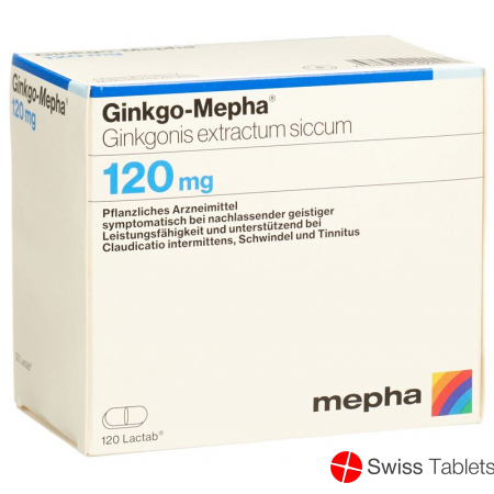 Ginkgo Mepha Lactab 120 mg 120 pcs