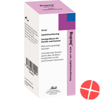 Bupaq Injektionslösung Ad Us.vet. Flasche 10ml