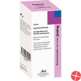 Bupaq Injektionslösung Ad Us.vet. Flasche 10ml