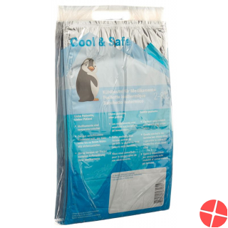COOL & SAFE cooling bag 10 pcs