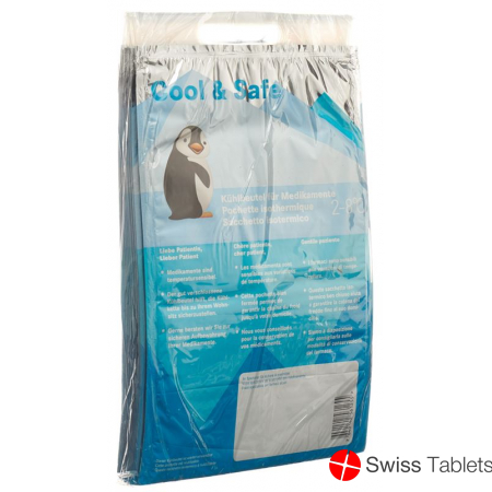 COOL & SAFE cooling bag 10 pcs