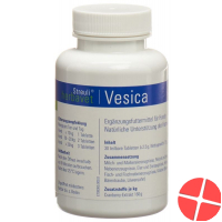 Streuli Herbavet Vesica Tabletten 30 Stück