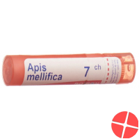 Apis mellifera Boiron Gran C 7 4 g
