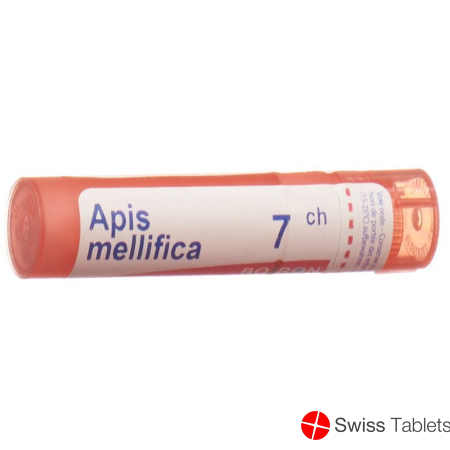 Apis mellifera Boiron Gran C 7 4 g