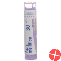 Apis mellifera Boiron Gran C 30 4 g