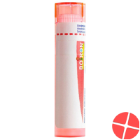 Boiron Thymuline Granulat C 7 4g Boiron Thymuline Granulat C 7 4g