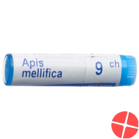 Apis mellifera Boiron Glob C 9 1 Dos