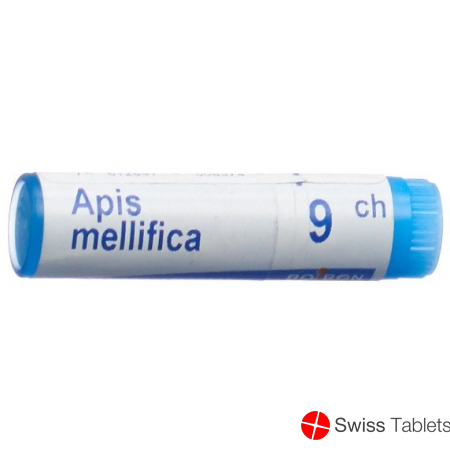 Apis mellifera Boiron Glob C 9 1 Dos