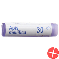 Apis mellifera Boiron Glob C 30 1 Dos Apis mellifera Boiron Glob C 30 1 Dos