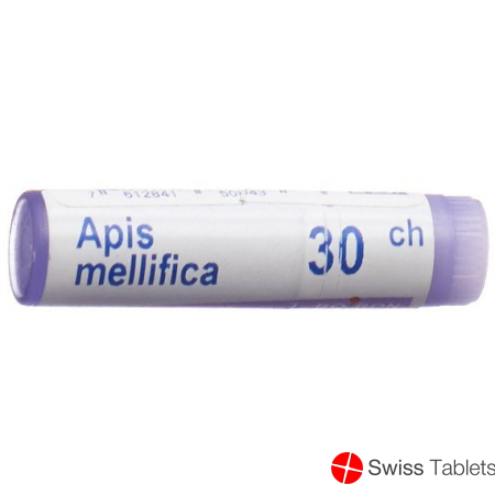 Apis mellifera Boiron Glob C 30 1 Dos