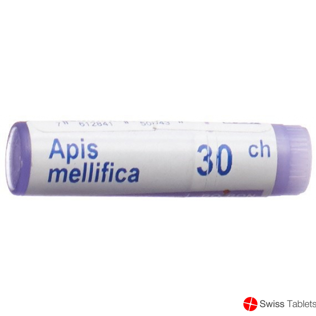 Apis mellifera Boiron Glob C 30 1 Dos