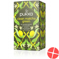 Pukka Clean Matcha Green Tee Bio Beutel 20 Stück Pukka Clean Matcha Green Tee Bio Beutel 20 Stück