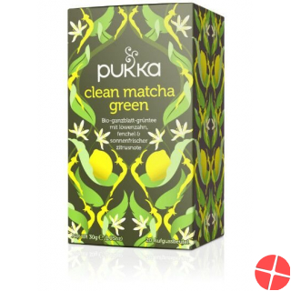 Pukka Clean Matcha Green Tee Bio Beutel 20 Stück