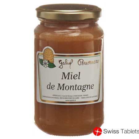 Apidis Berg Honig 500g buy online