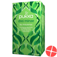 Pukka Drei Minze Tee Bio Beutel 20 Stück