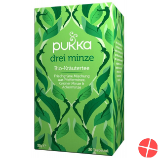 Pukka Drei Minze Tee Bio Beutel 20 Stück