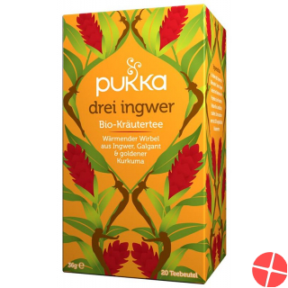 Pukka Drei Ingwer Tee Bio Beutel 20 Stück