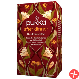 Pukka After Dinner Tee Bio Beutel 20 Stück