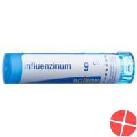 Boiron Influenzinum Granulat C 9 4g