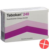 Tebokan Filmtabletten 240mg 60 Stück