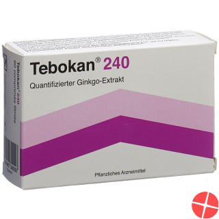 Tebokan Filmtabletten 240mg 60 Stück