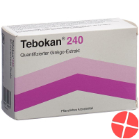 Tebokan Filmtabletten 240mg 90 Stück