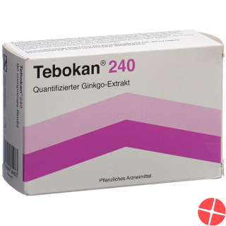 Tebokan Filmtabletten 240mg 90 Stück
