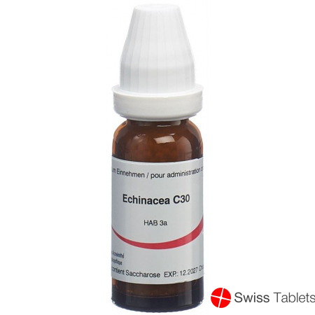 Omida Echinacea Globuli C 30 14g buy online