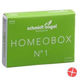 Sn Homeobox 1 Globuli Schachtel 5 Tube 1g