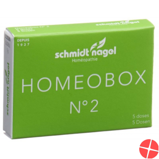 Sn Homeobox 2 Globuli Schachtel 5 Tube 1g