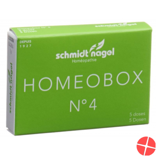 Sn Homeobox 4 Globuli Schachtel 5 Tube 1g
