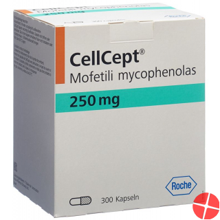 Cellcept Kapseln 250mg 300 Stück