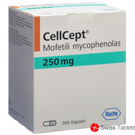 Cellcept Kapseln 250mg 300 Stück buy online