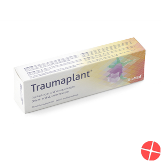 Traumaplant 100 g cream