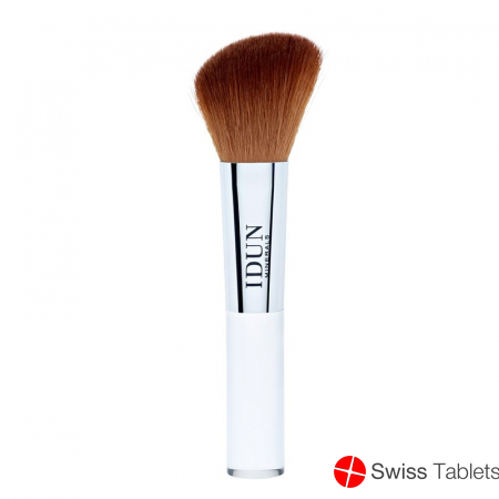IDUN blush brush buy online