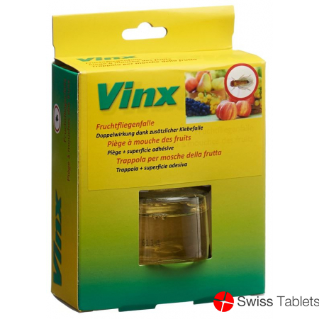 Vinx fruit fly trap with adhesive strips buy online