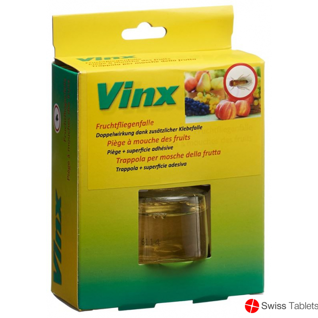 Vinx fruit fly trap with adhesive strips buy online