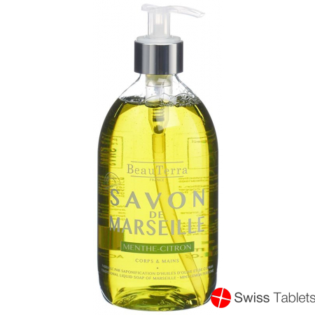 Beauterra Flüssigseife Marseille Minze-Zit 500ml buy online