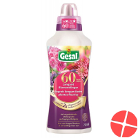 Gesal Langzeit Blumendünger 750ml